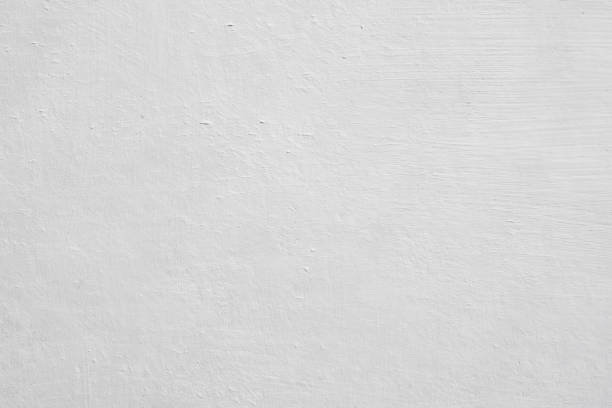 Mold Documentation for Insurance Claims